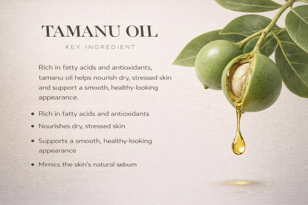 Nourishing Whipped Shea Butter - Calming