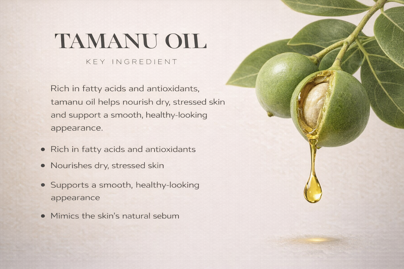 Nourishing Whipped Shea Butter - Harmonizing