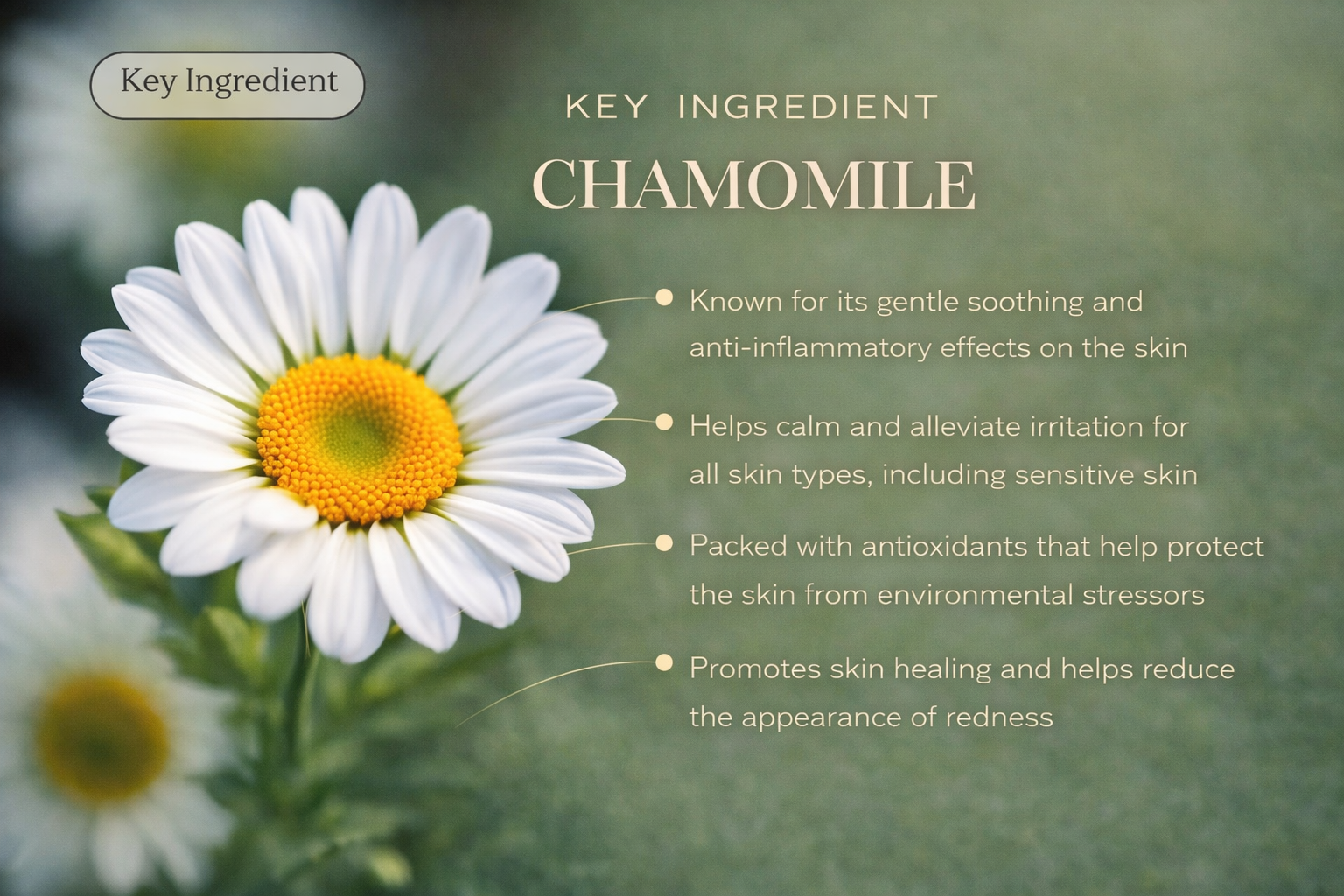 Soothing Relief & Restore Balm